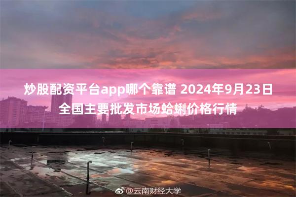 炒股配资平台app哪个靠谱 2024年9月23日全国主要批发市场蛤蜊价格行情