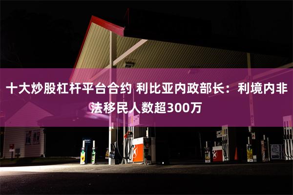 十大炒股杠杆平台合约 利比亚内政部长：利境内非法移民人数超300万