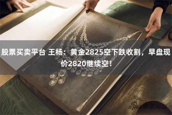 股票买卖平台 王杨：黄金2825空下跌收割，早盘现价2820继续空！
