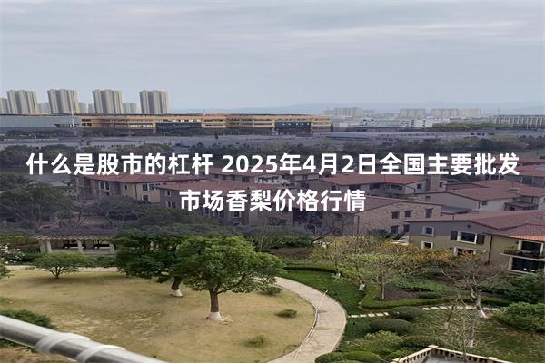 什么是股市的杠杆 2025年4月2日全国主要批发市场香梨价格行情