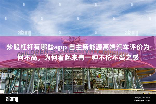 炒股杠杆有哪些app 自主新能源高端汽车评价为何不高，为何看起来有一种不伦不类之感