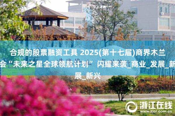 合规的股票融资工具 2025(第十七届)商界木兰年会“未来之星全球领航计划” 闪耀来袭_商业_发展_新兴