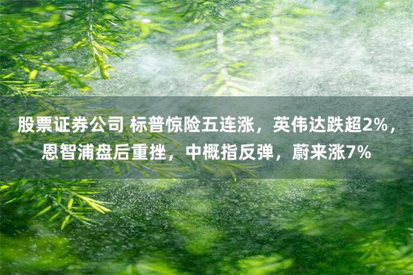 股票证券公司 标普惊险五连涨，英伟达跌超2%，恩智浦盘后重挫，中概指反弹，蔚来涨7%