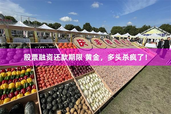 股票融资还款期限 黄金，多头杀疯了！