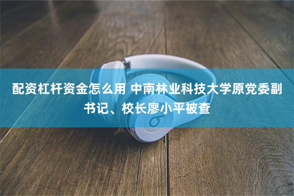 配资杠杆资金怎么用 中南林业科技大学原党委副书记、校长廖小平被查